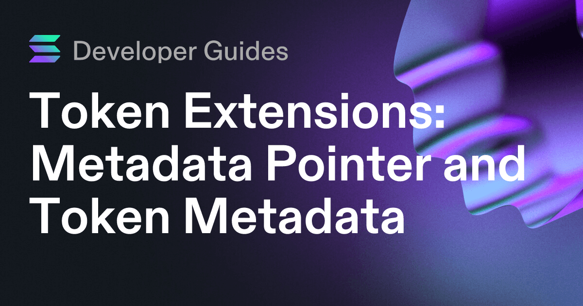 How to use the Metadata Pointer extension